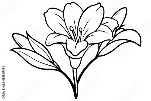freesia silhouette line art vector illustration