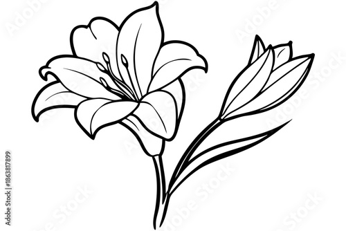 freesia silhouette line art vector illustration