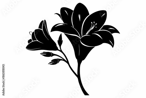 freesia silhouette line art vector illustration