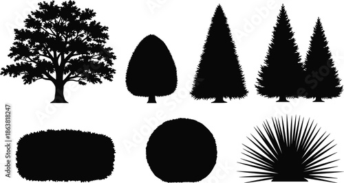 Black tree and bush silhouette vector set, pine and oak plant collection, isolated nature landscape design elements, garden shrub illustration.