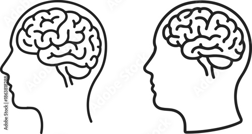 human brain anatomy head profile vector illustration