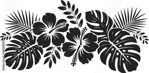 tropical hibiscus floral silhouette vector illustration