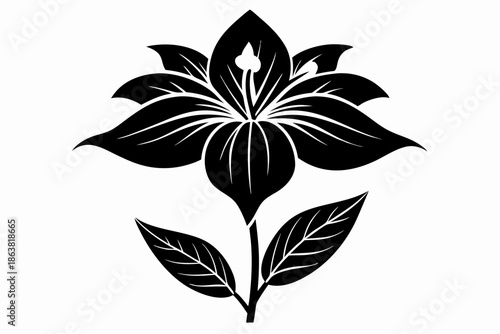 ginger lily silhouette line art vector illustration