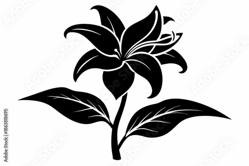 ginger lily silhouette line art vector illustration