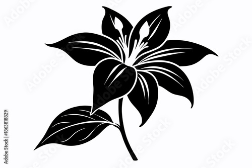 ginger lily silhouette line art vector illustration