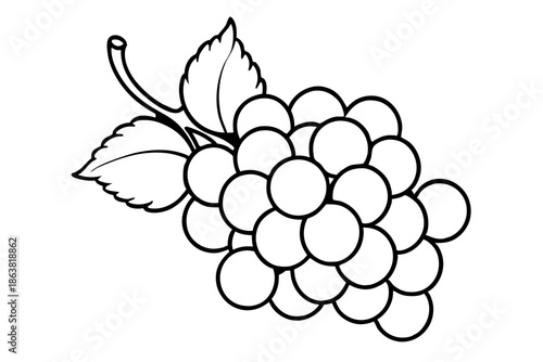 grapes silhouette line art vector illustration