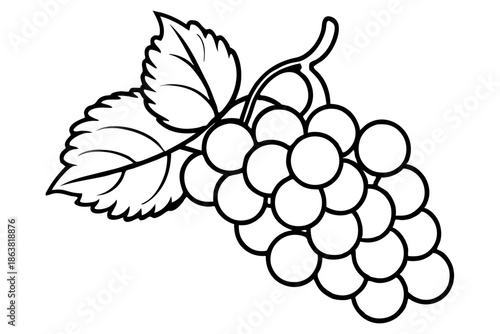grapes silhouette line art vector illustration
