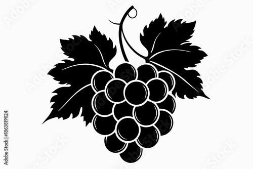 grapes silhouette line art vector illustration