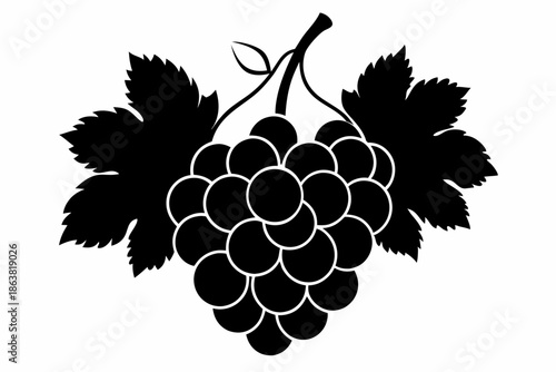 grapes silhouette line art vector illustration