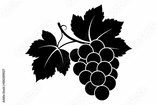 grapes silhouette line art vector illustration