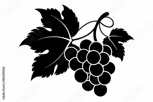 grapes silhouette line art vector illustration