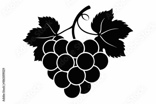 grapes silhouette line art vector illustration