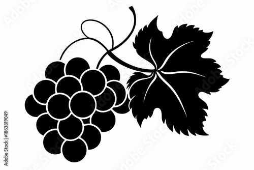 grapes silhouette line art vector illustration