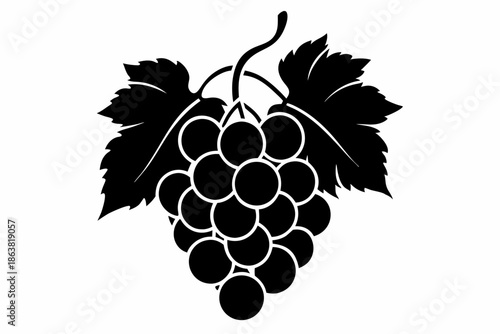grapes silhouette line art vector illustration