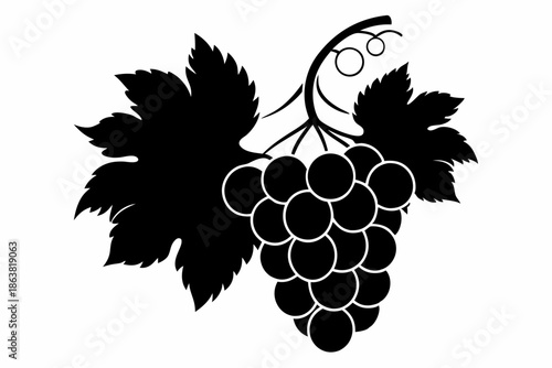 grapes silhouette line art vector illustration