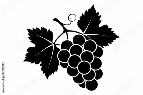 grapes silhouette line art vector illustration