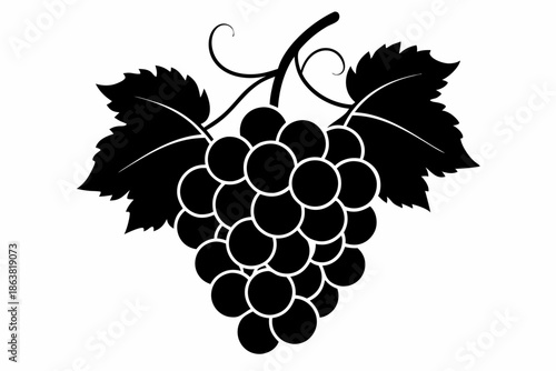 grapes silhouette line art vector illustration