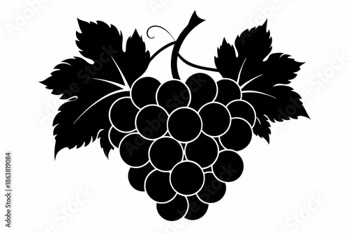 grapes silhouette line art vector illustration