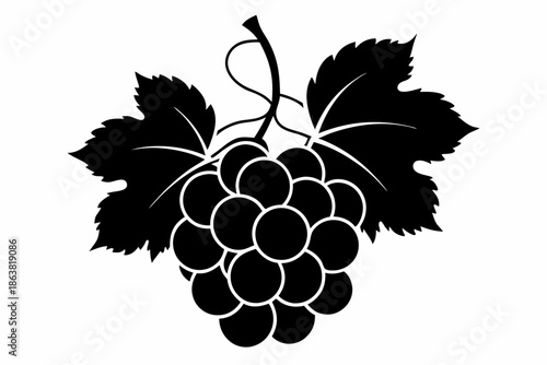 grapes silhouette line art vector illustration
