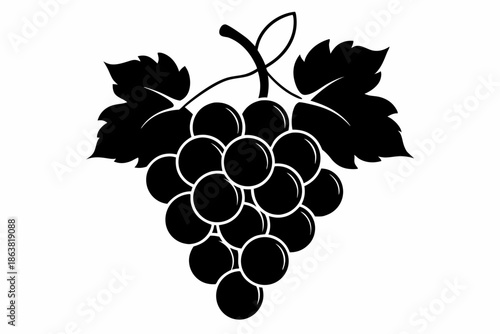 grapes silhouette line art vector illustration