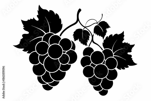 grapes silhouette line art vector illustration