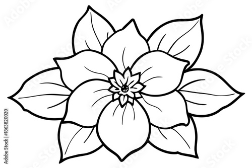 hellebore silhouette line art vector illustration