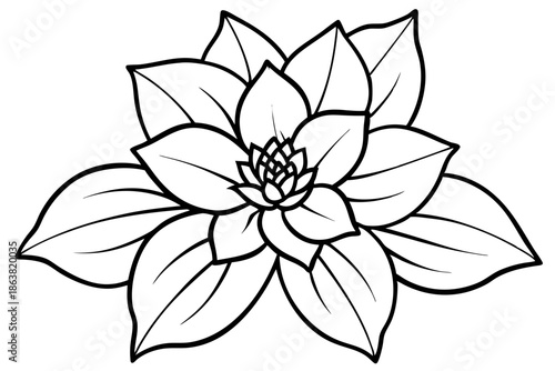hellebore silhouette line art vector illustration