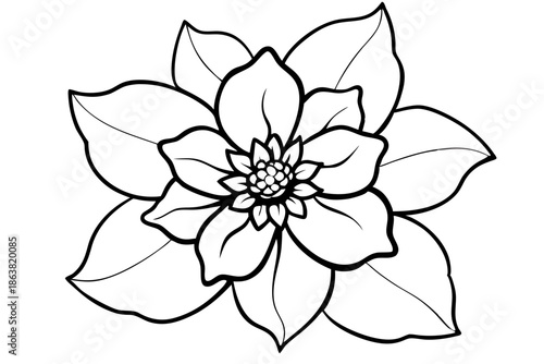 hellebore silhouette line art vector illustration