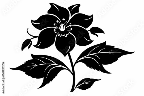 hellebore silhouette line art vector illustration