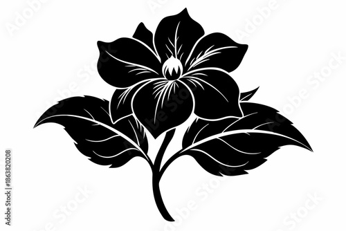hellebore silhouette line art vector illustration