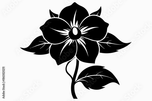 hellebore silhouette line art vector illustration