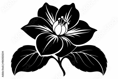hellebore silhouette line art vector illustration