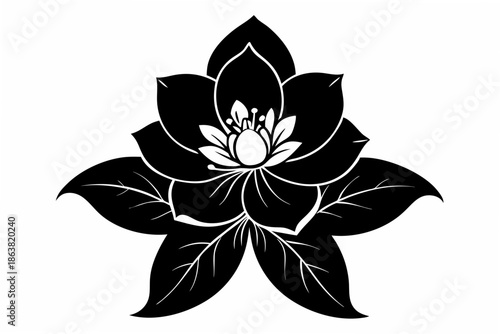 hellebore silhouette line art vector illustration