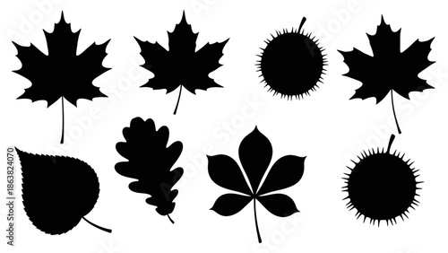 Collection of Various Leaf Silhouettes.