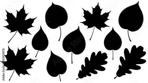 Collection of Various Leaf Silhouettes.