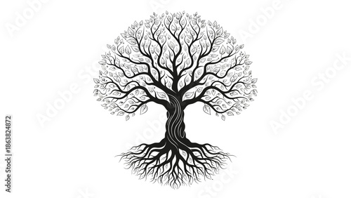 Black and White Tree Illustration with Roots.