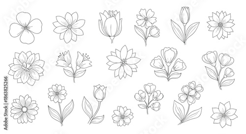 Collection of various hand-drawn flowers and blossoms in a delicate dashed line art style perfect for botanical designs.