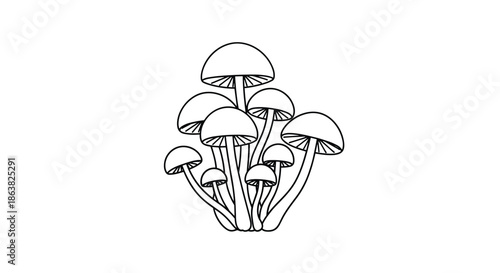 Minimalist black and white line art illustration of a small cluster of wild mushrooms growing together in the forest.