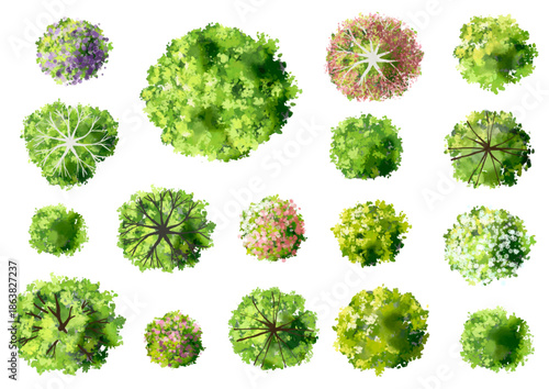 Vector set of Top view green tree for outdoor plan or map and architecture drawing, elements for environment and garden ,botanical elements ,blooming flowers in spring,tropical plants element