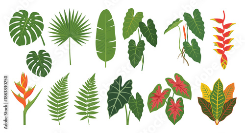 Collection of various tropical plant leaves and flowers, vibrant and lush foliage