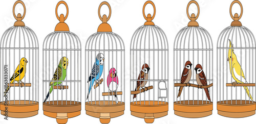 Vector illustration set of colorful pet birds including parakeets sparrows and cockatiels perched inside individual decorative wire birdcages isolated on white.