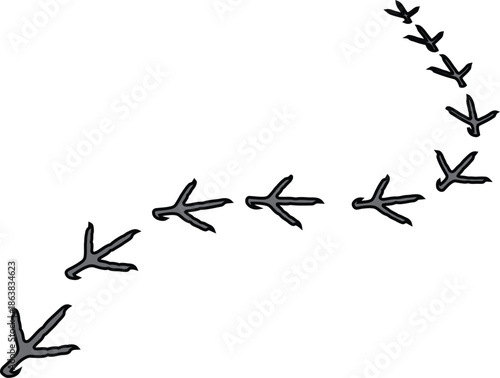 Bird footprints, abstract path, nature concept, animal tracks, directional movement