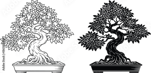 Two bonsai trees in different colors on a white background