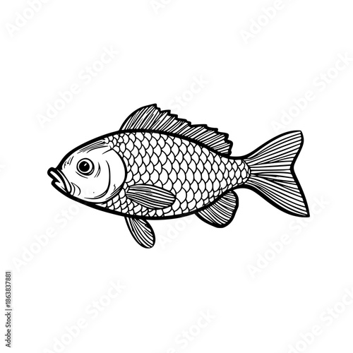 Serene Solitude: Lone Fish Pond | Clean, isolated vector art for creative projects.