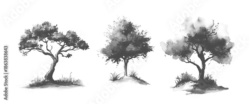 White And Black Nature Hand Drawn Green Tree Collection Isolated on White Background 