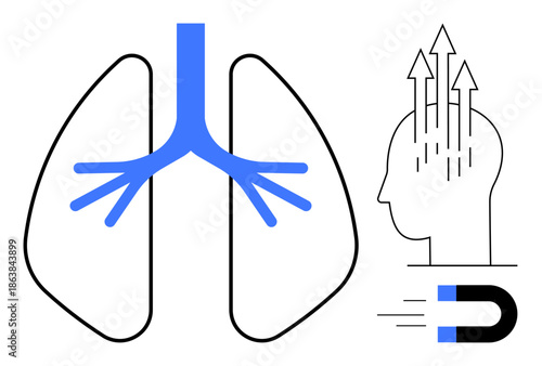 Respiratory system. Diagram lungs, airflow pathways, and energy mind magnet idea. Respiratory system focus and mental health link . health, anatomy, energy, therapy focus