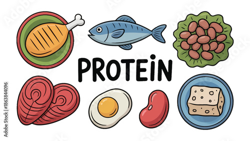 Protein Sources Illustration: a vibrant illustration showcasing a variety of protein-rich foods, including chicken, fish, eggs, and beans, set against a simple backdrop, emphasizing nutrition.