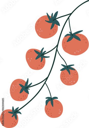 vector illustration of cherry tomatoes 