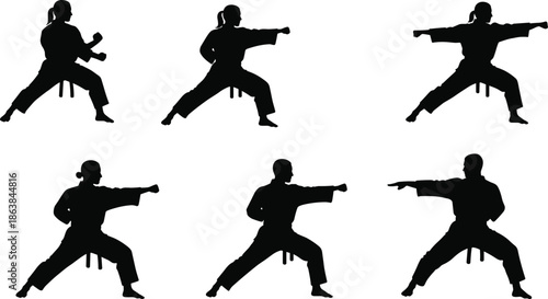 silhouette vector of 8 energy & power icons in different styles on white background