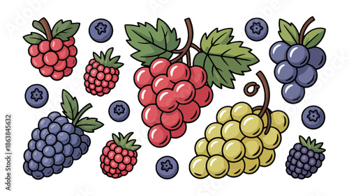 Delicious Fruits Display: A vibrant assortment of succulent grapes, juicy raspberries, and plump blueberries arranged against a clean backdrop, showcasing the beauty and flavor of nature's bounty.